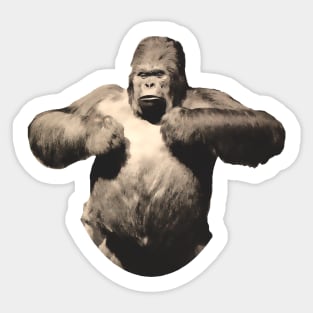 giant gorilla beats its chest Sticker